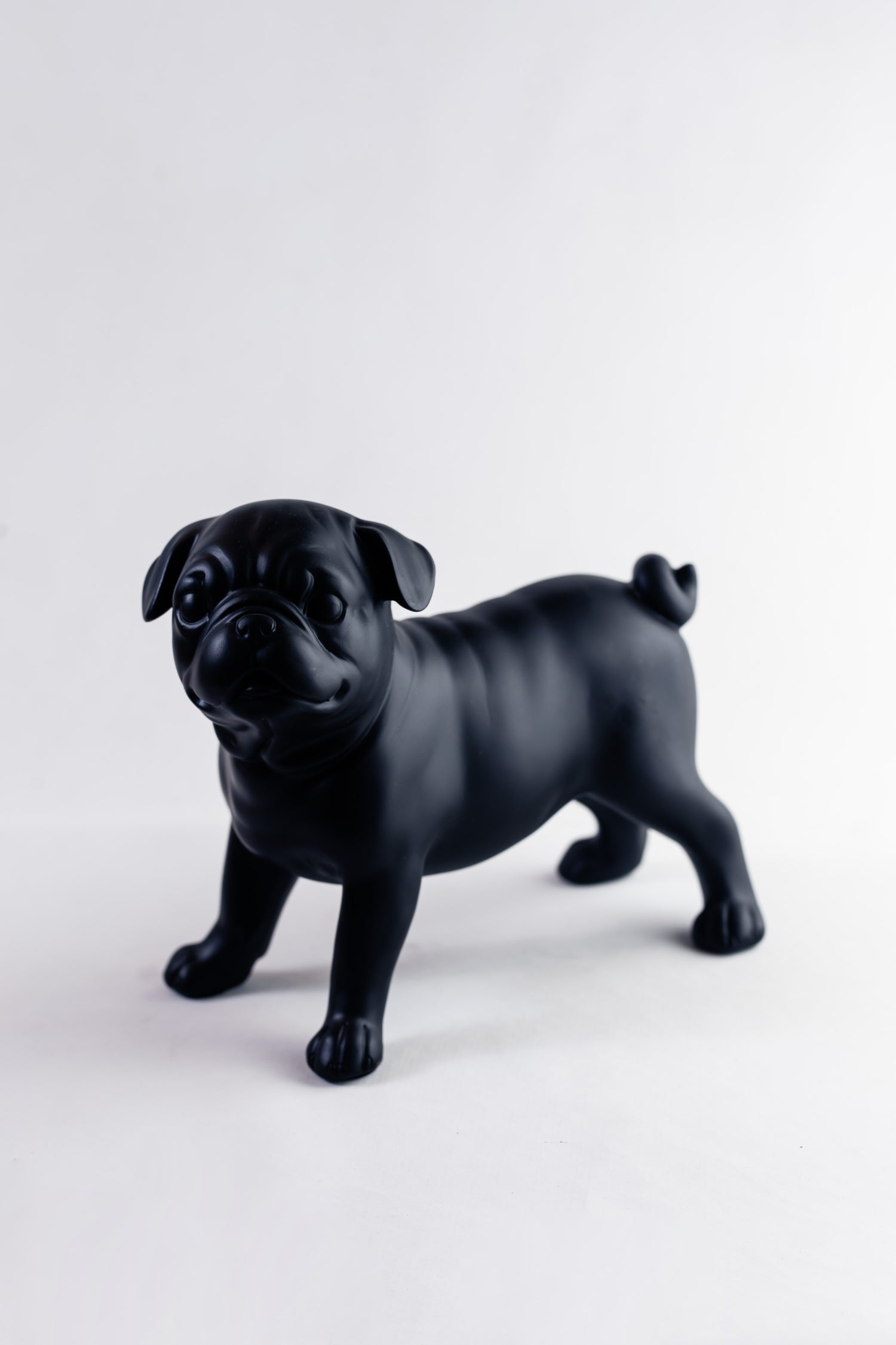 Pug Noir