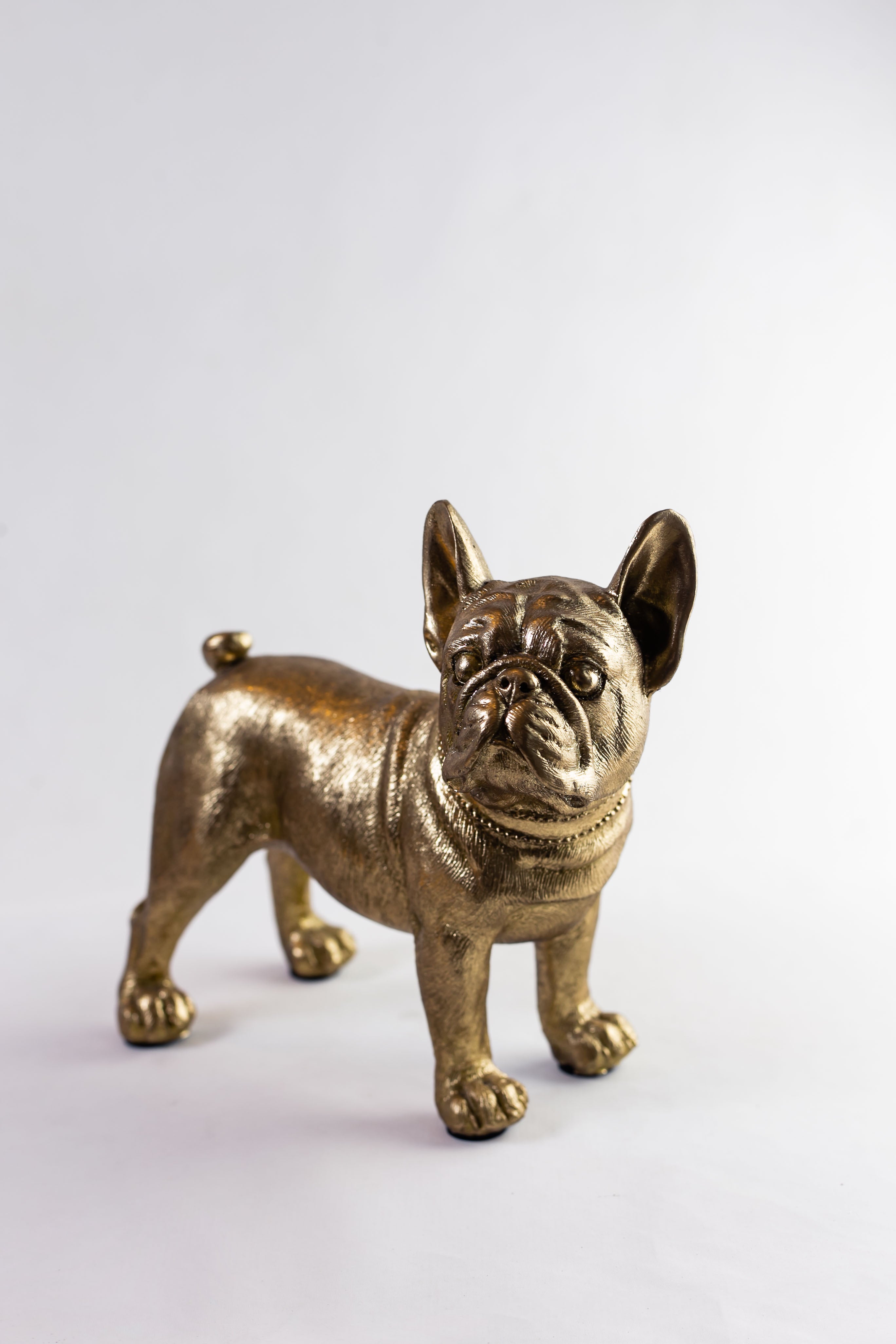 Bulldog Louis