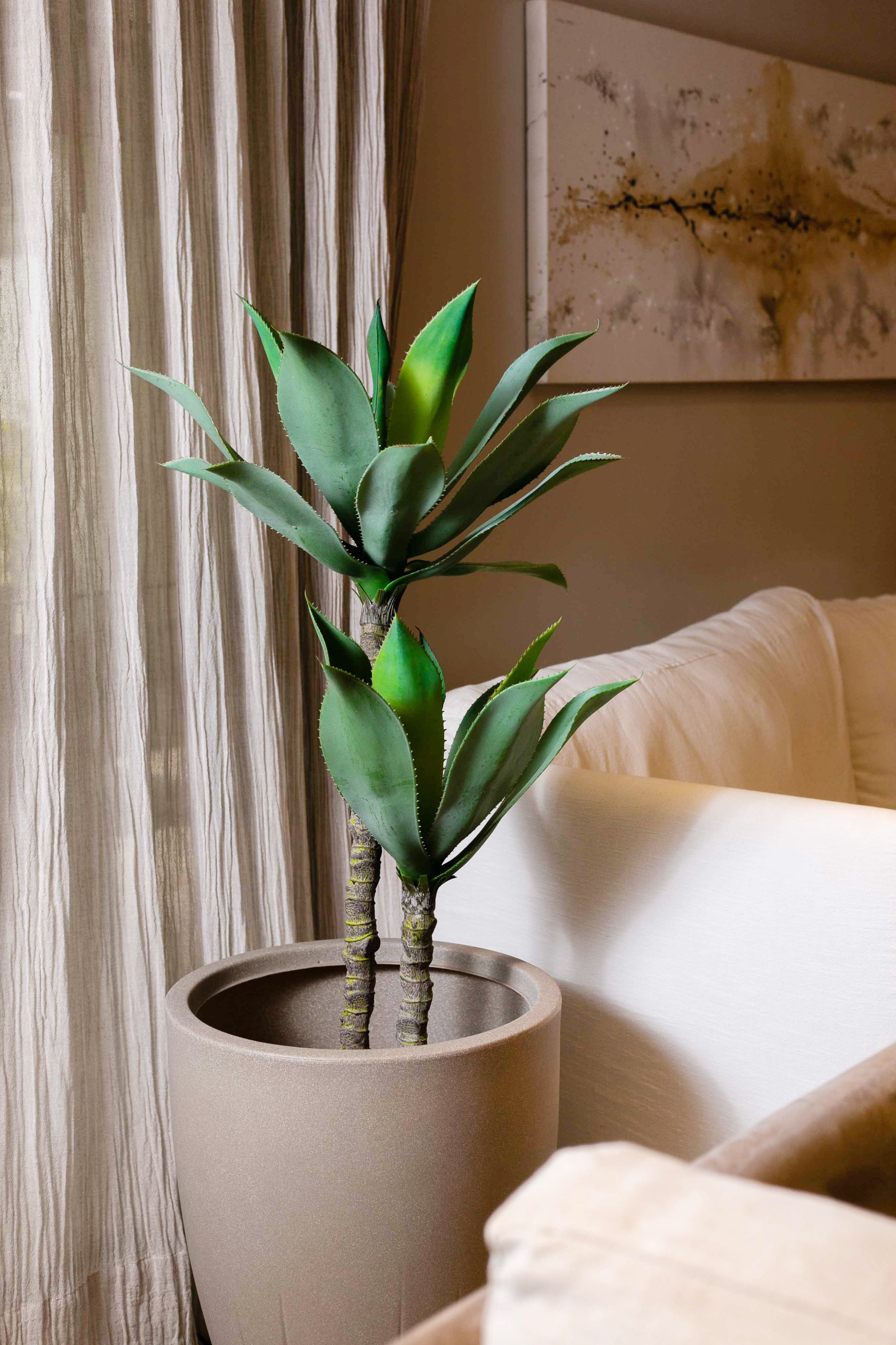 planta deluxe