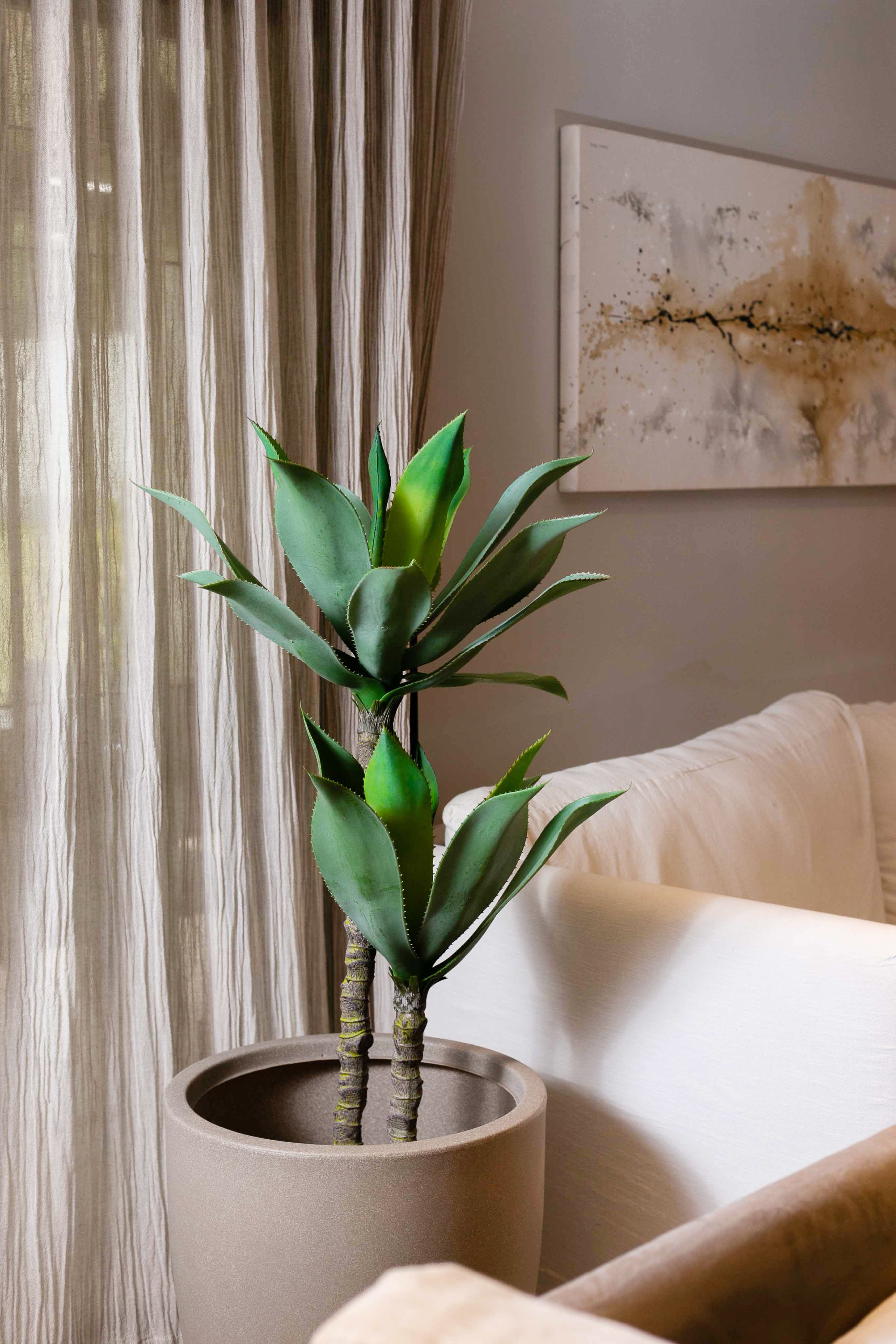 planta deluxe