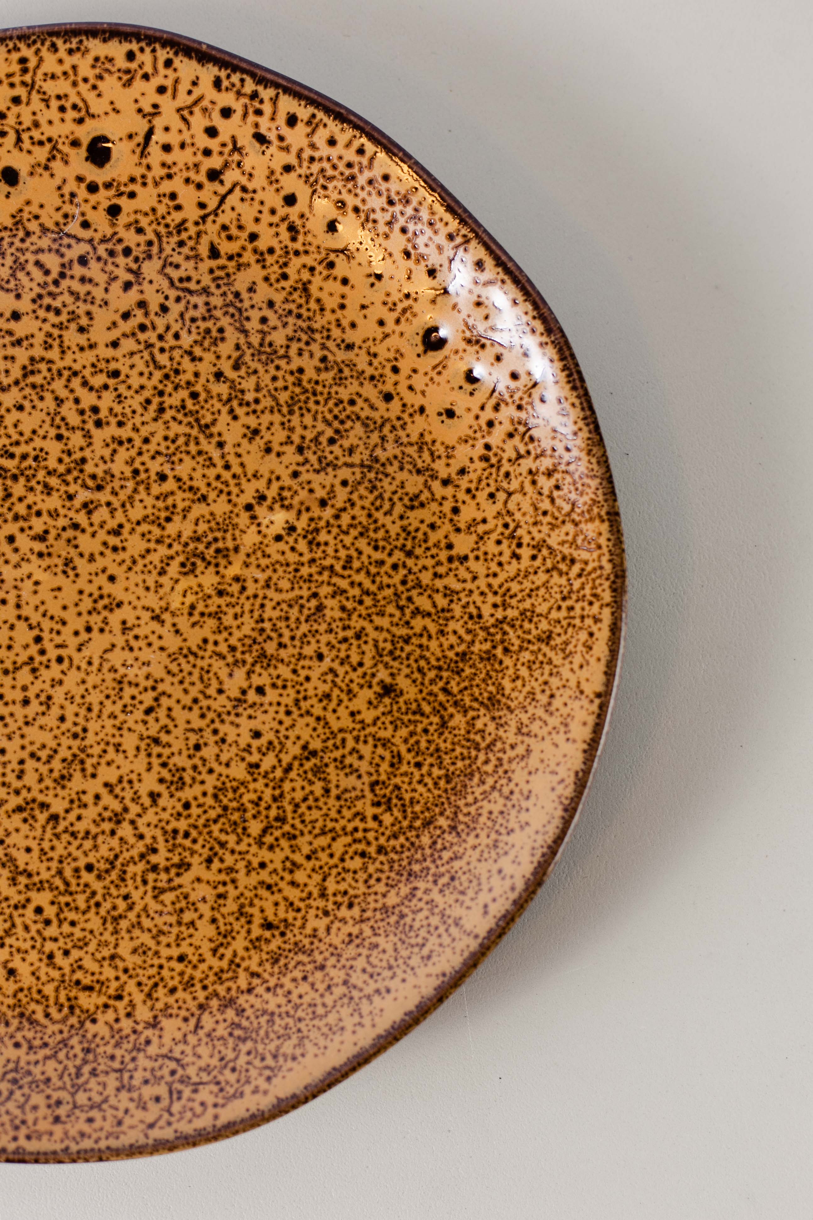 Platos terra